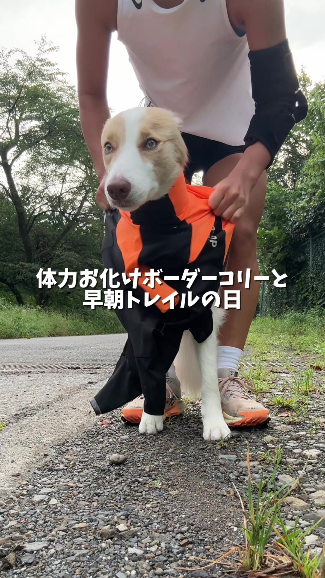 @陣在ほのか