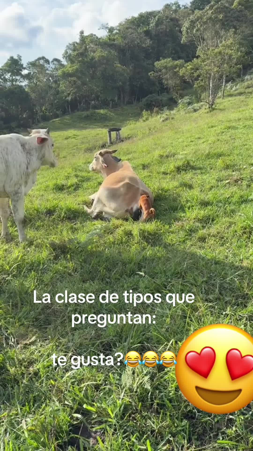 @el_paisa0405