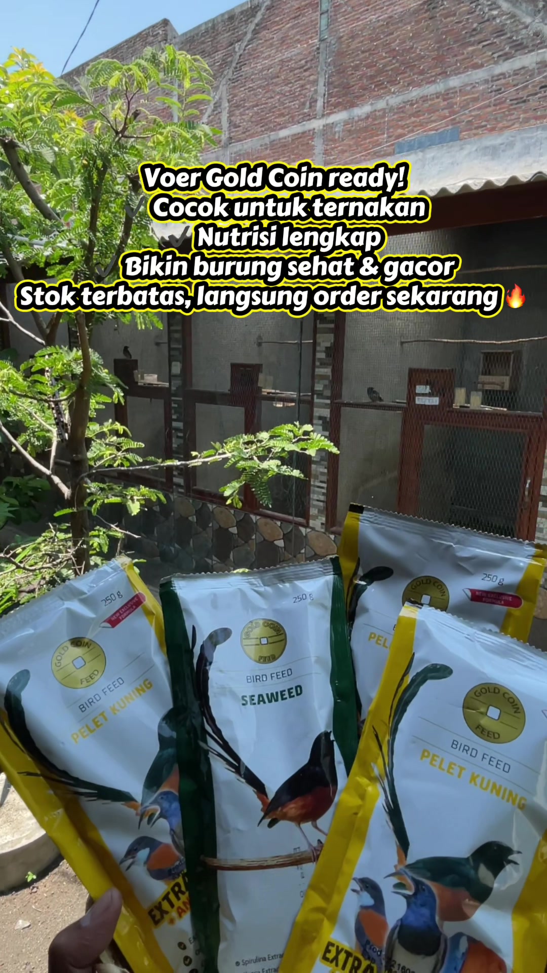 @MURAI BATU BONDOWOSO