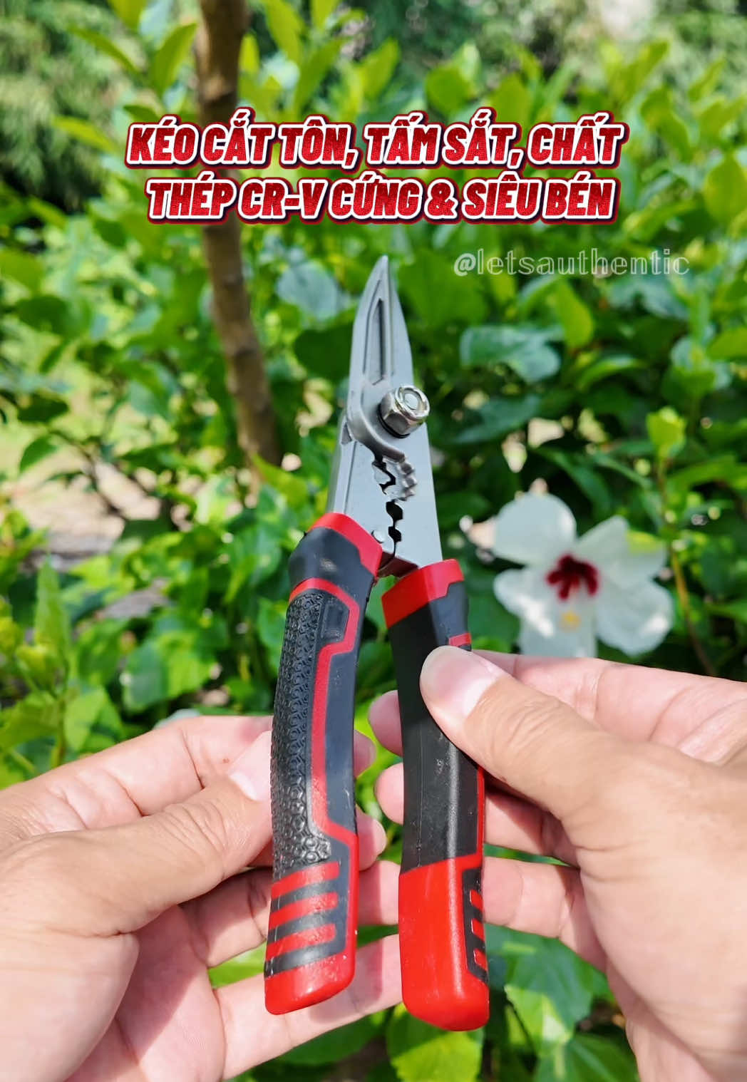 @𝕃𝔼𝕋’𝕊 𝔸𝕌𝕋ℍ𝔼ℕ𝕋𝕀ℂ