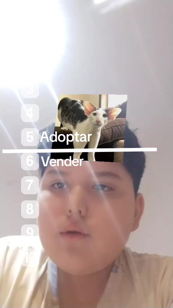 @SIMIO