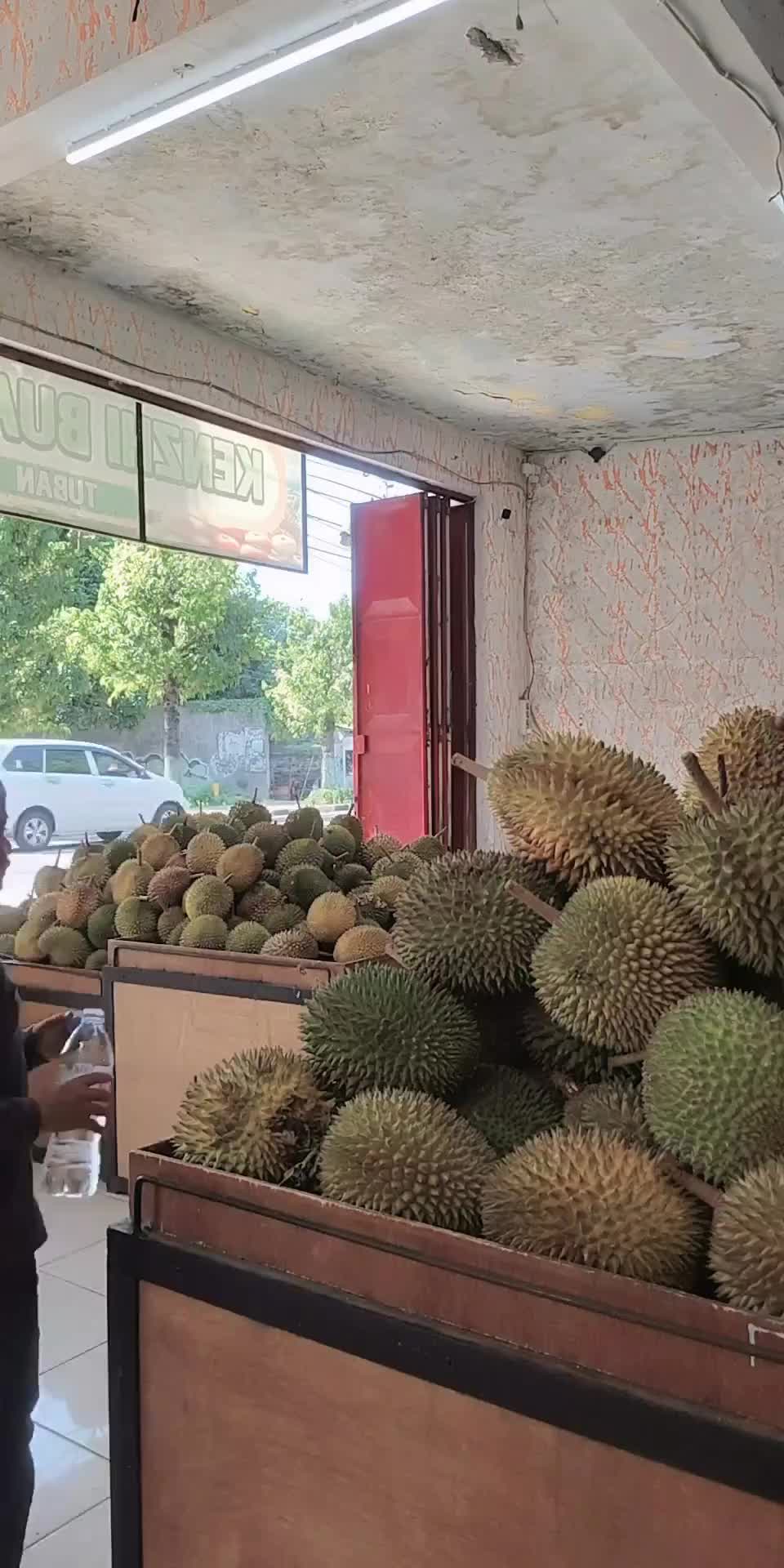 @Kenzhi Durian Tuban