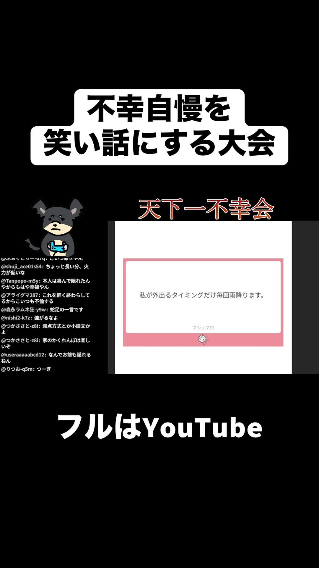 @合法的留年チワワ【切り抜き】