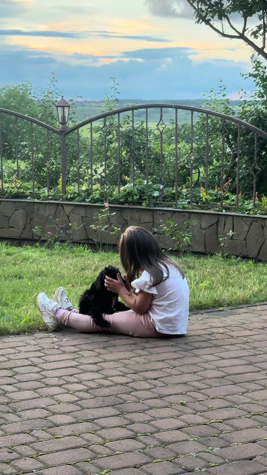 @Puppy’s Maltipoo Kiev