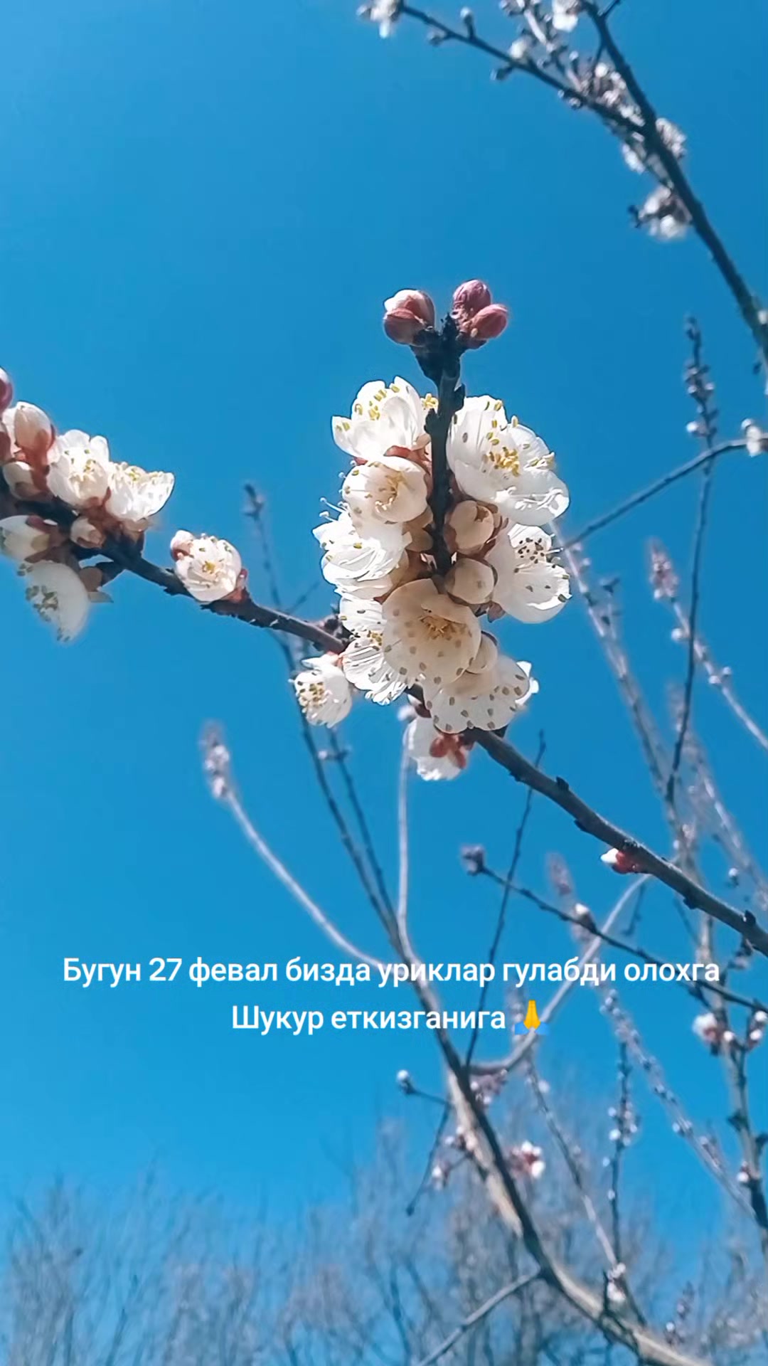 @ЗЕБО 24