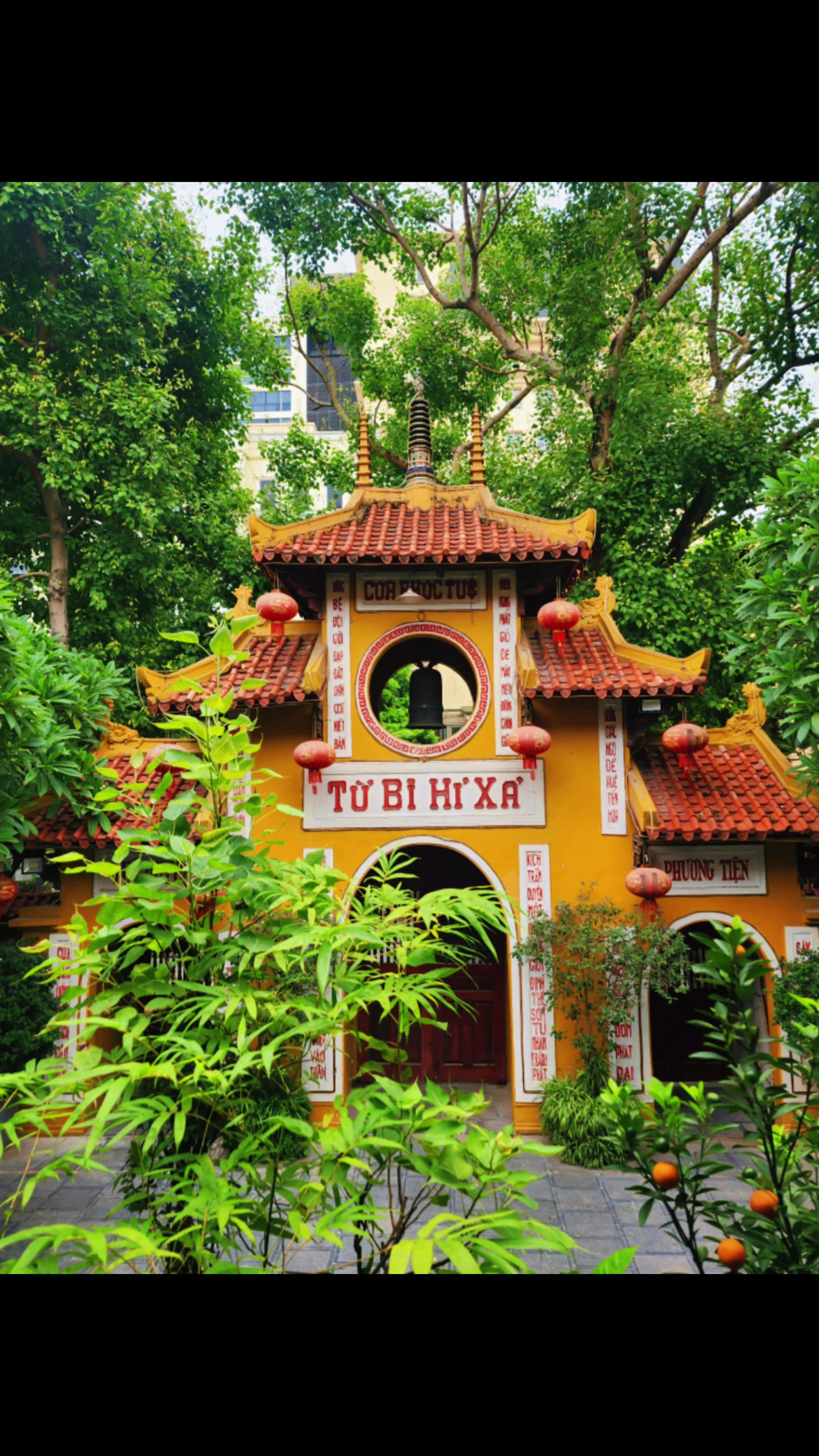 @Nguyễn Quốc Thệ