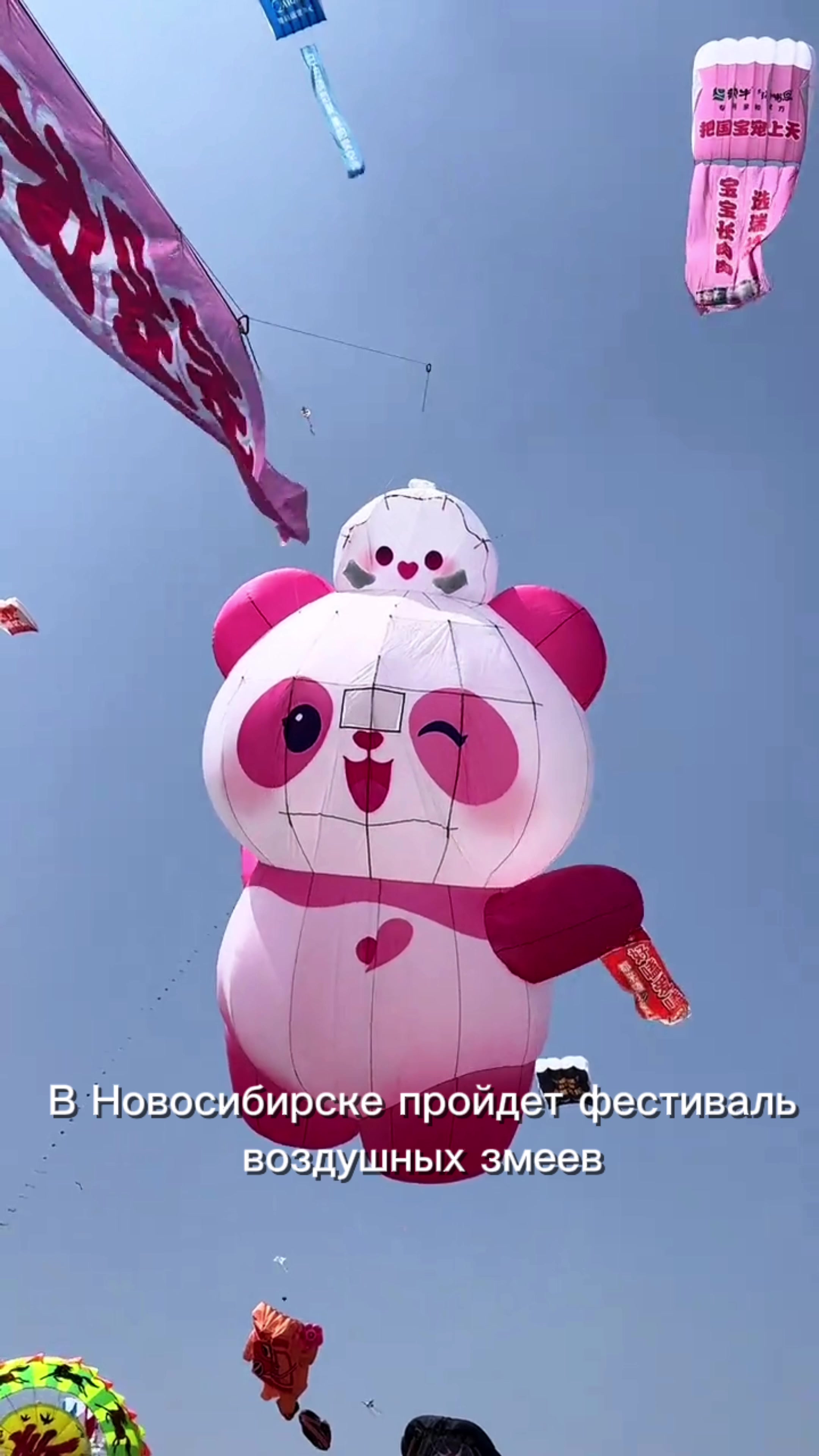 @Дaнeчкин