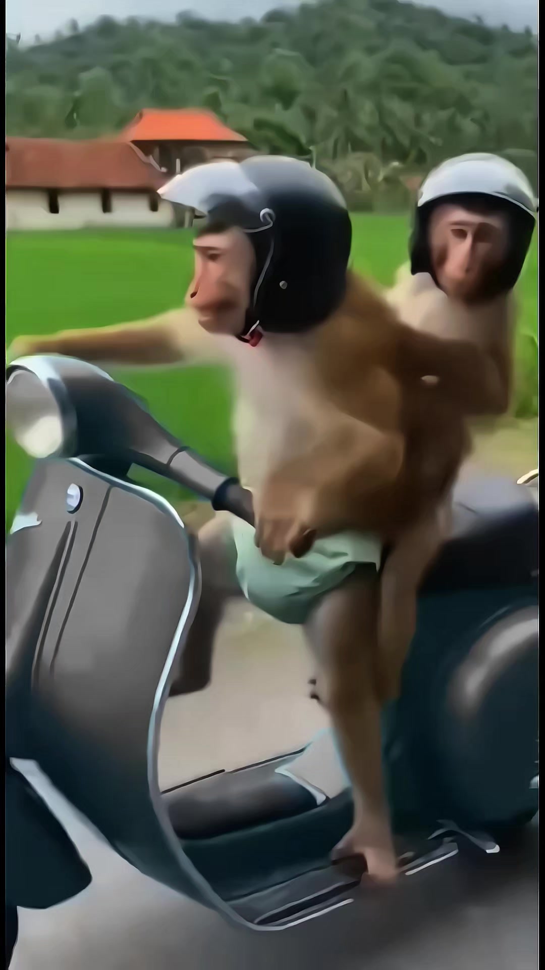 @𝐓𝐒𝐌&bull;𝐓𝐚𝐦𝐚𝐆𝐂𝐕