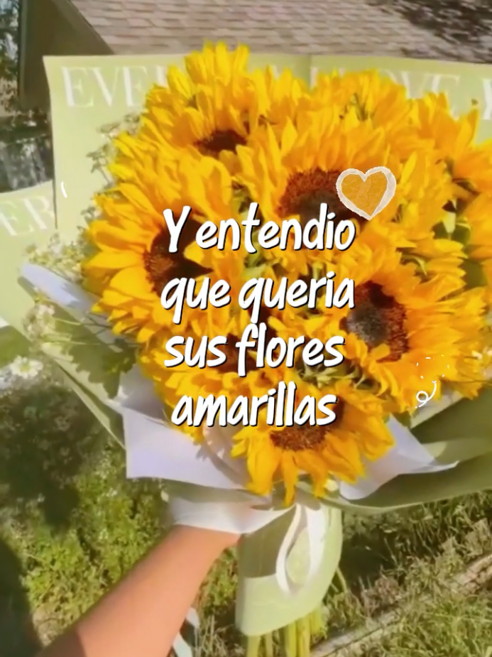 @Veronica Amor