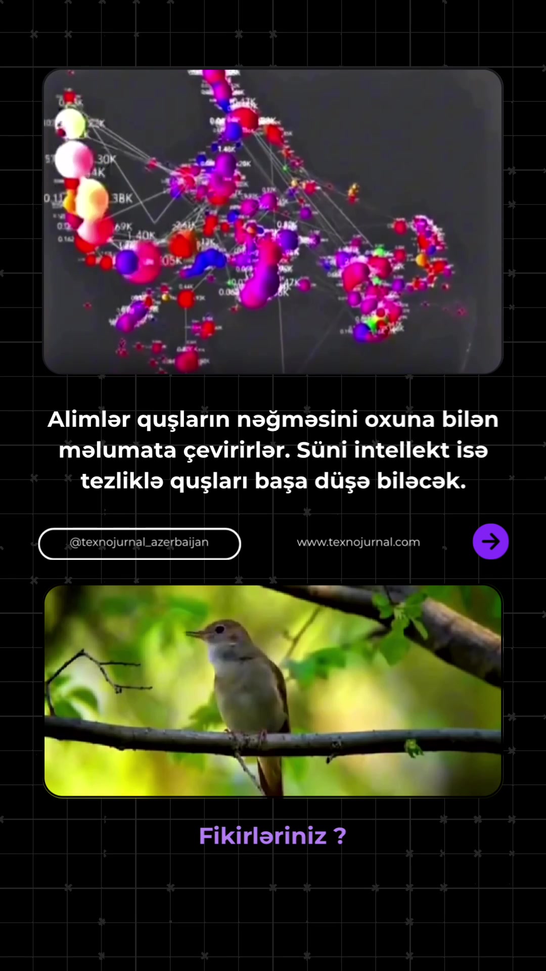 @texnojurnal_azerbaijan