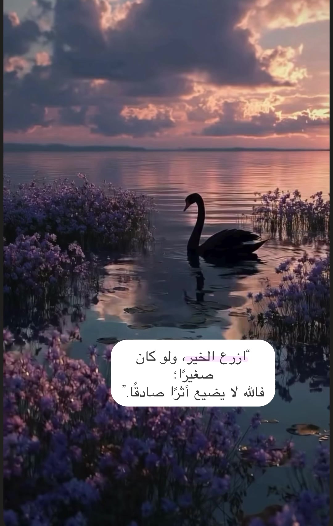 @خواطر مقتبسة 🕯️