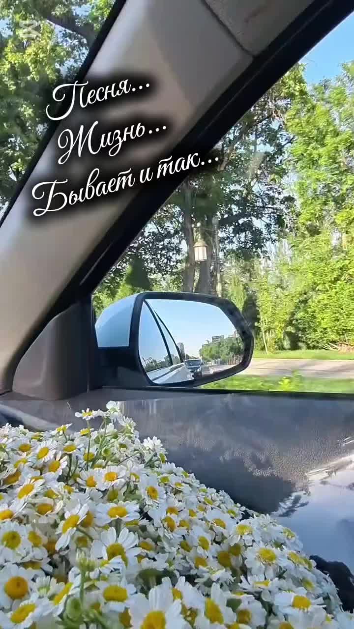 @Masha Orlowskaya