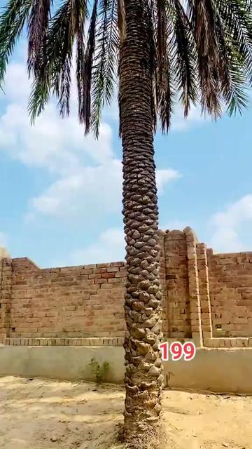 @😎❤️مانی سپراء 199❤️😎
