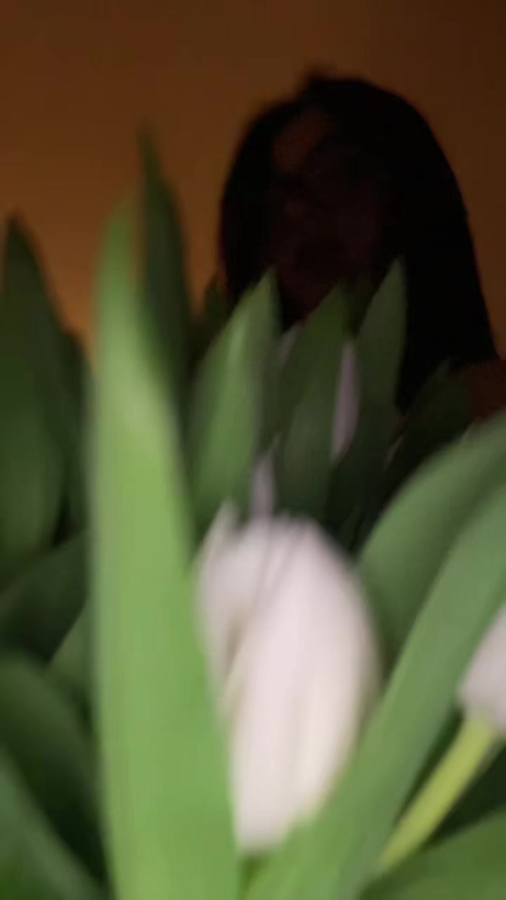 @dar’ia