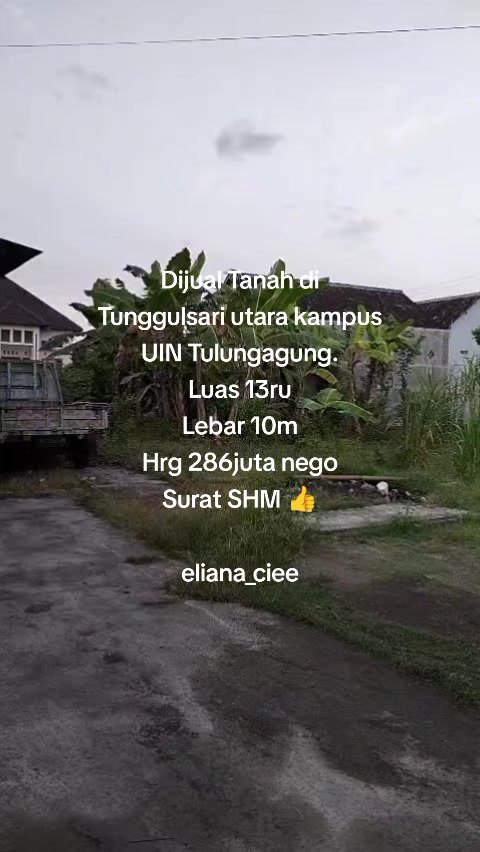 @eliana