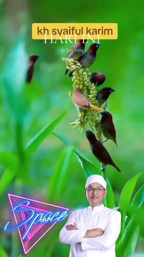 @BUDI AMMA 777