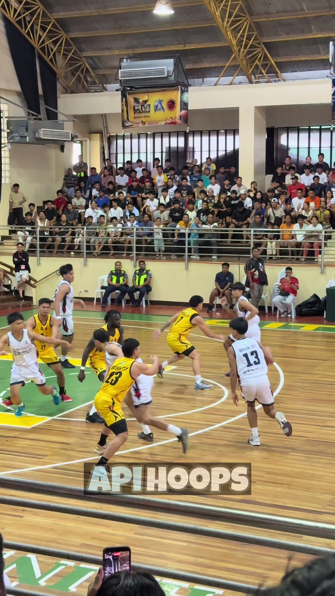 @apihoops_