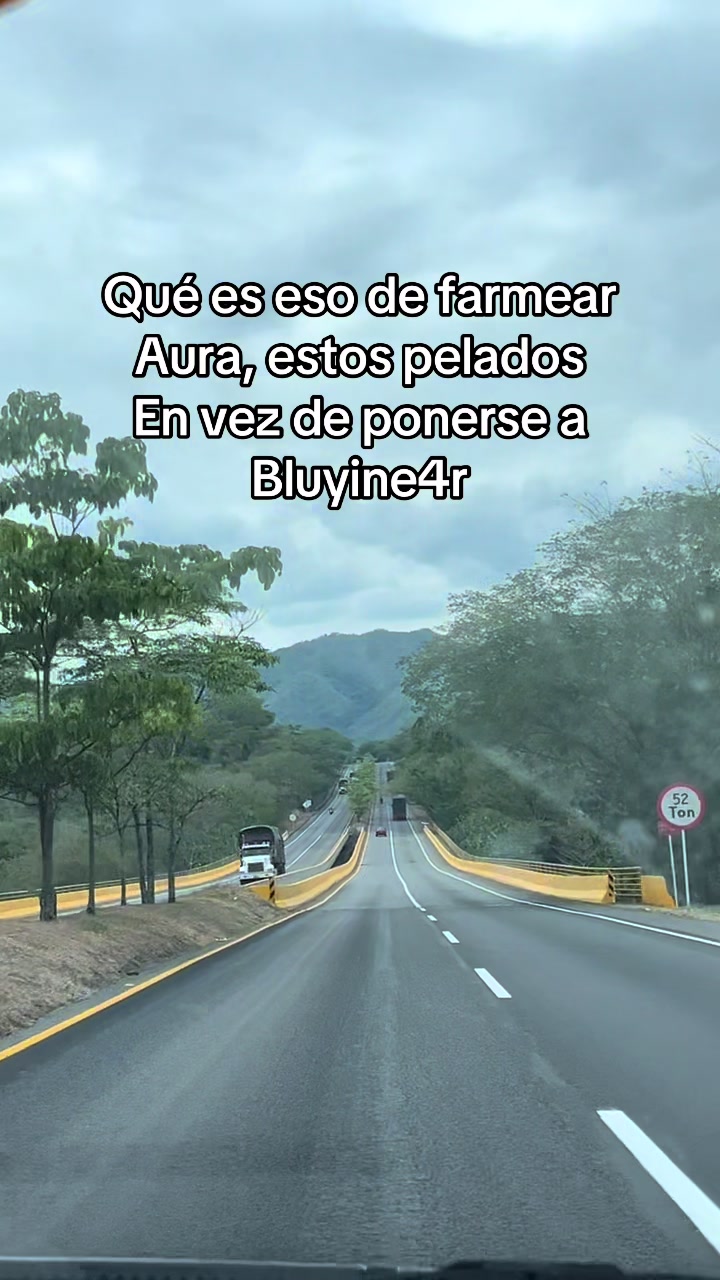 @Viviana Leal