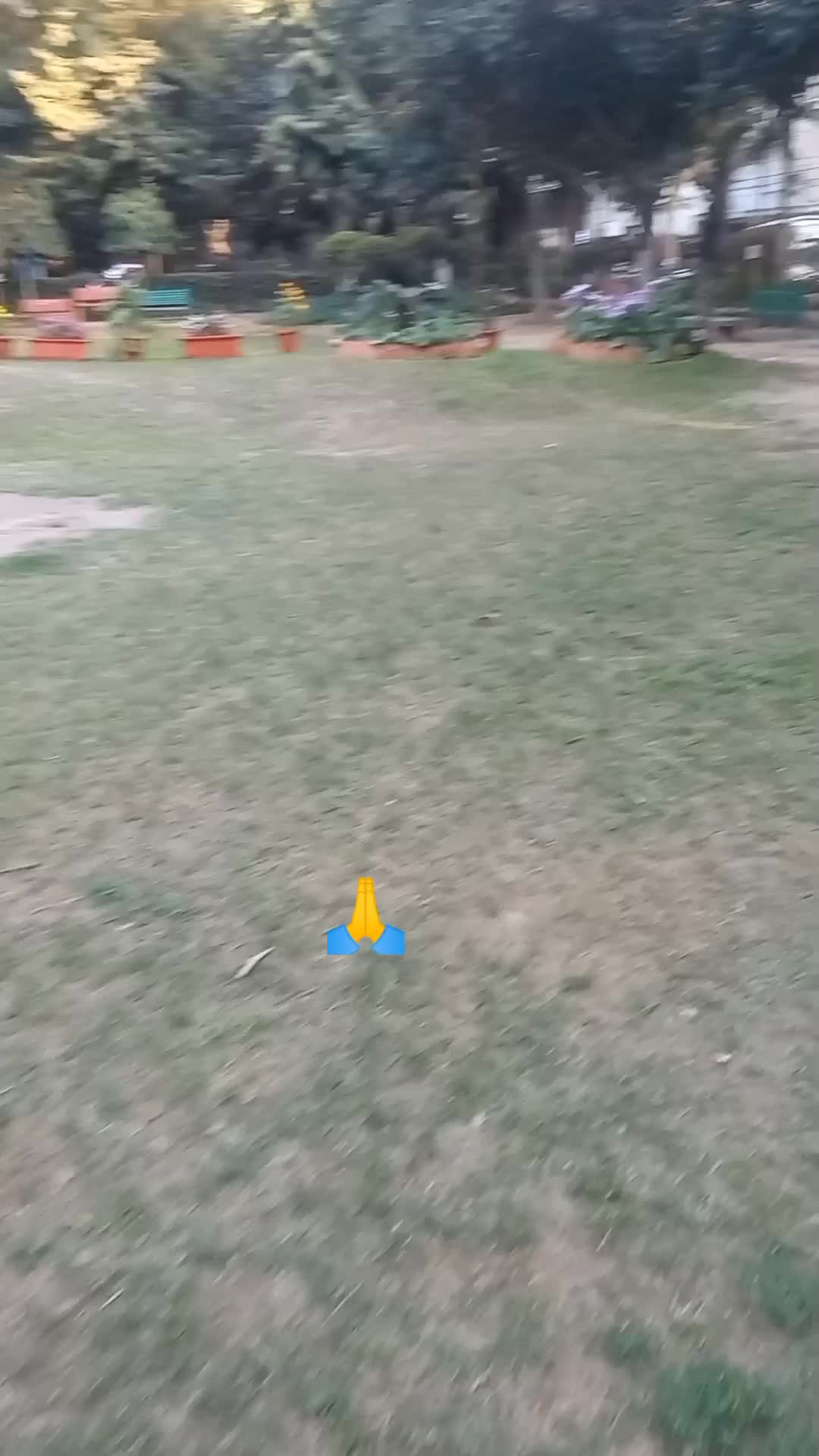 @user28138063205308