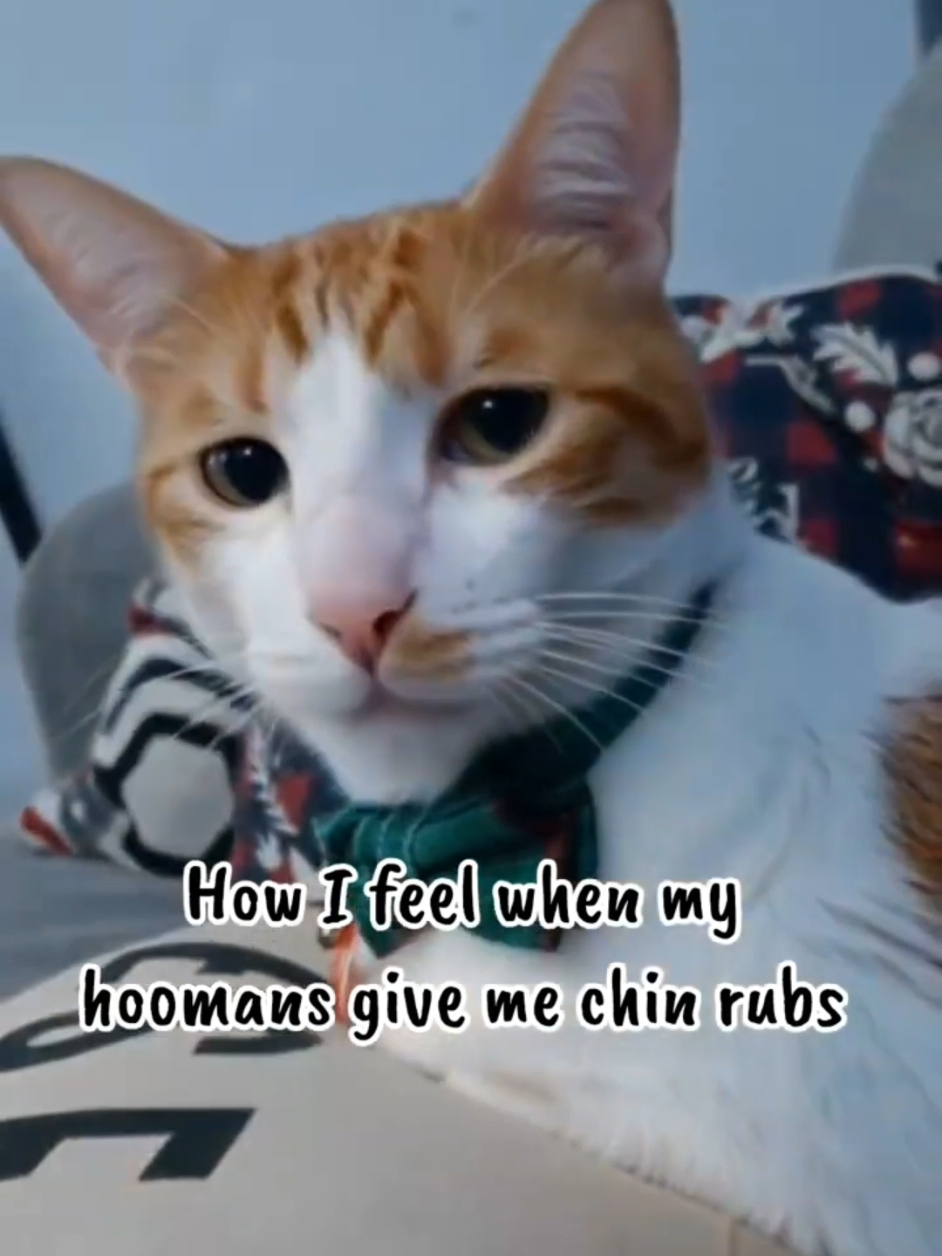 @Candice & Weasley