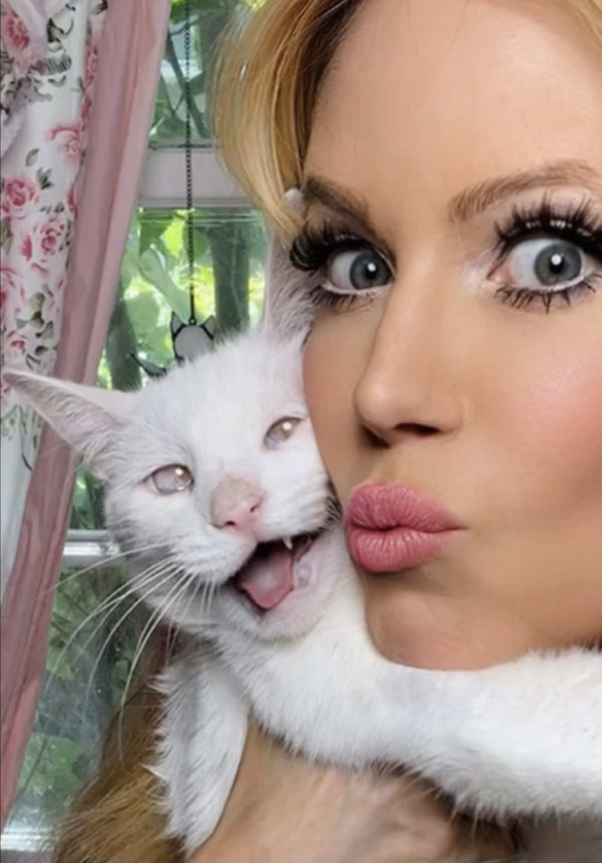 @Holly Meowy