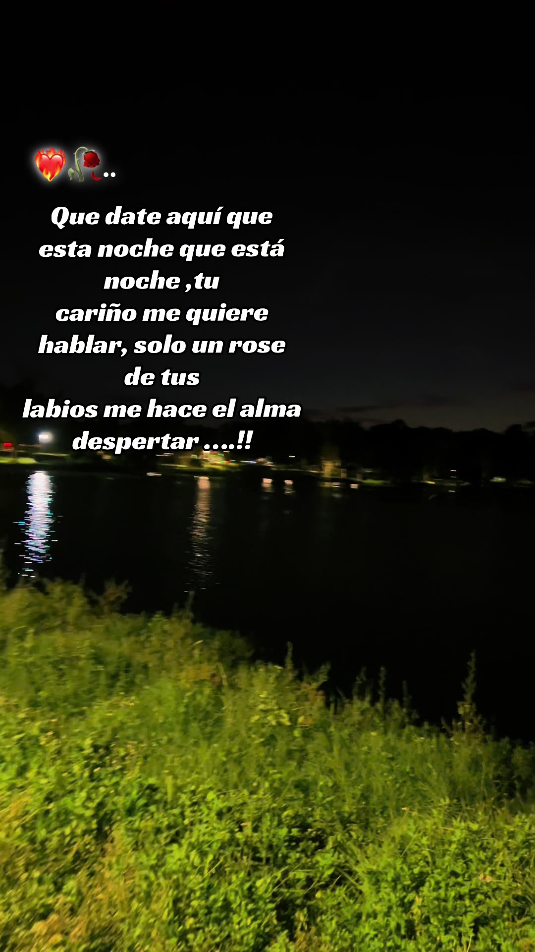 @🦋Bbcita🌻🇺🇸🌙