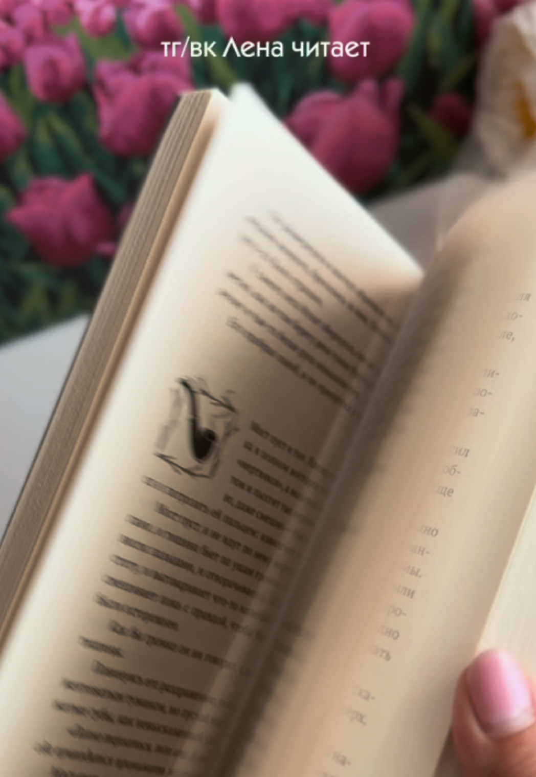 @Лена читает 📚
