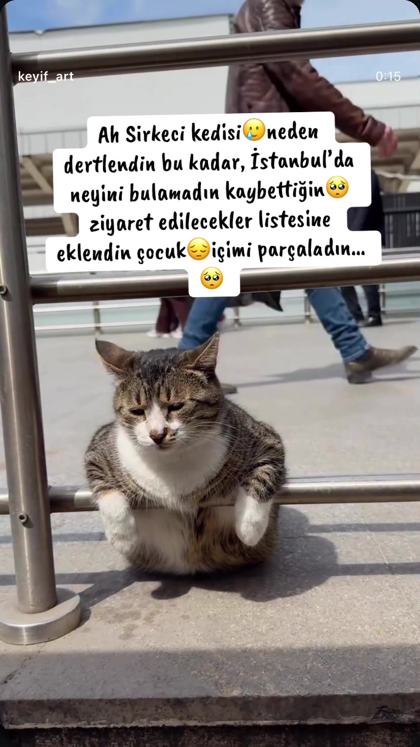 @Şapkalı Kadın