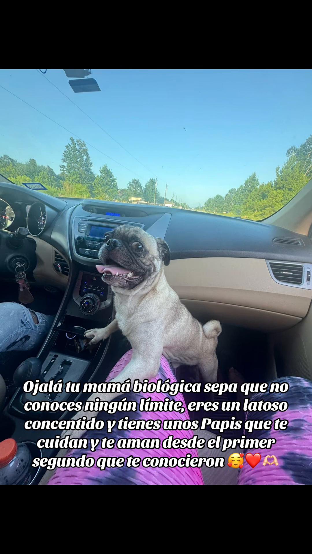 @Julia Matta