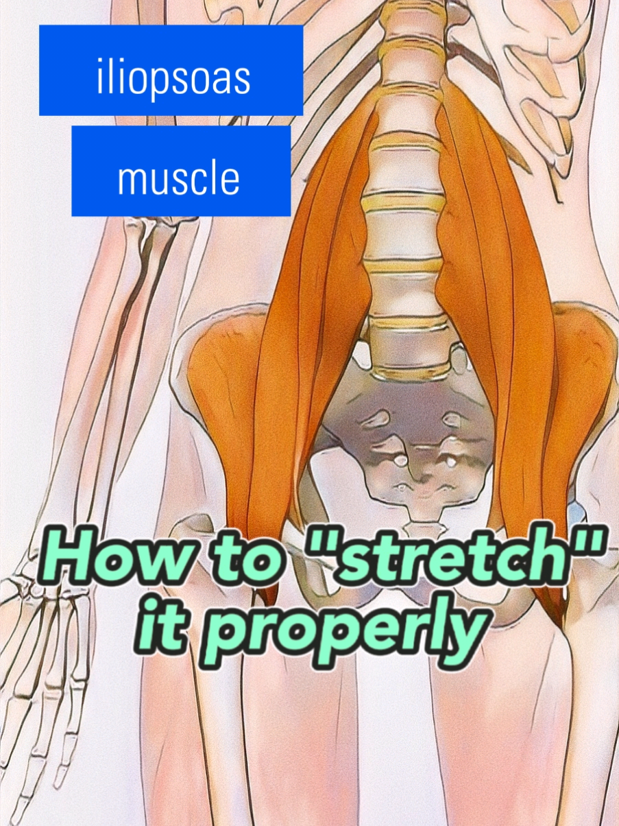 @PhysioBarn