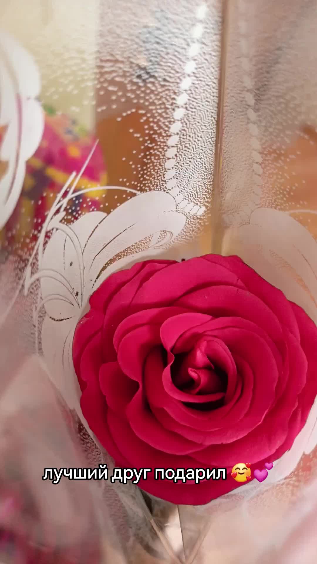 @lisenok_711