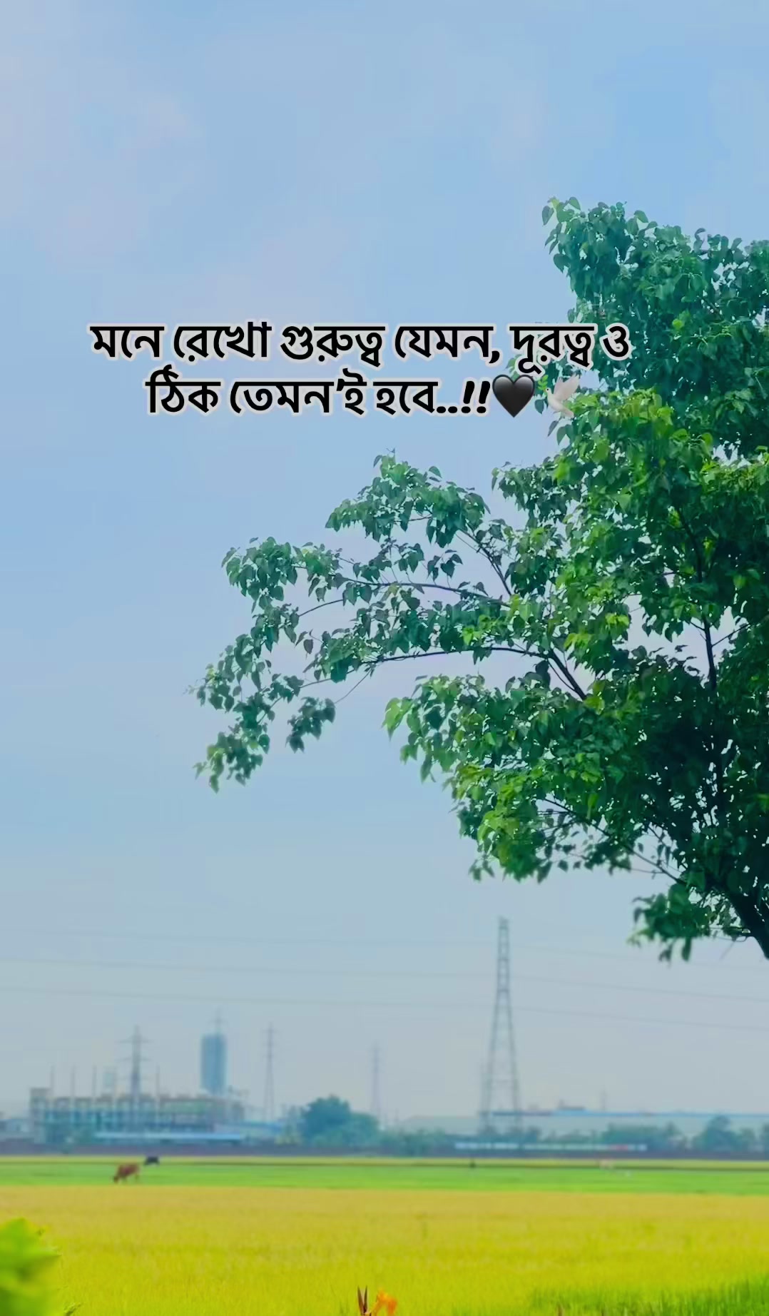 @Razuan__44