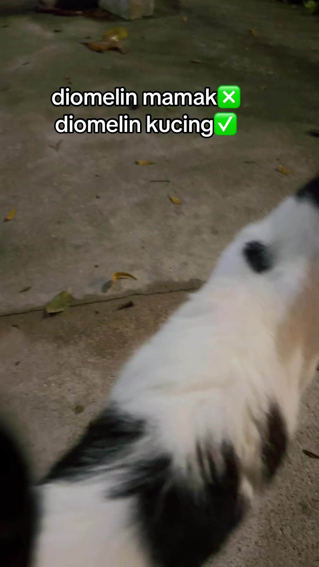 @@PusLampung