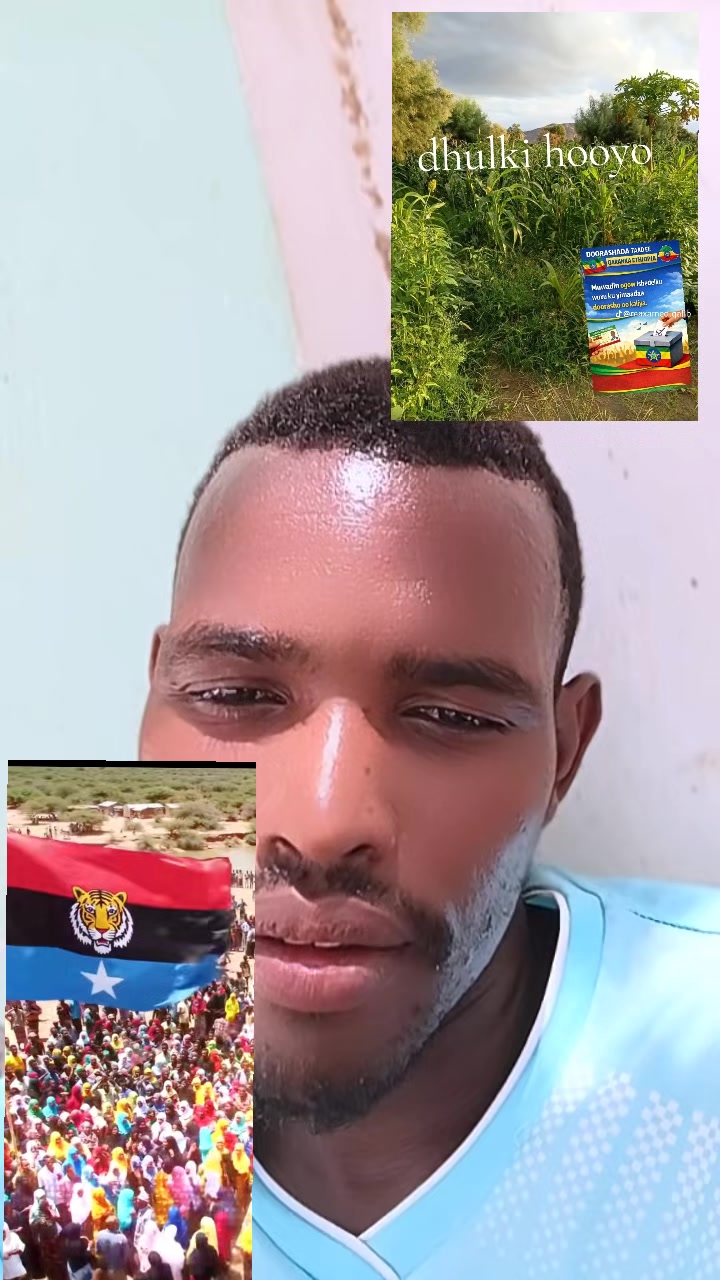 @WEER🦁🦁🦨🦨
