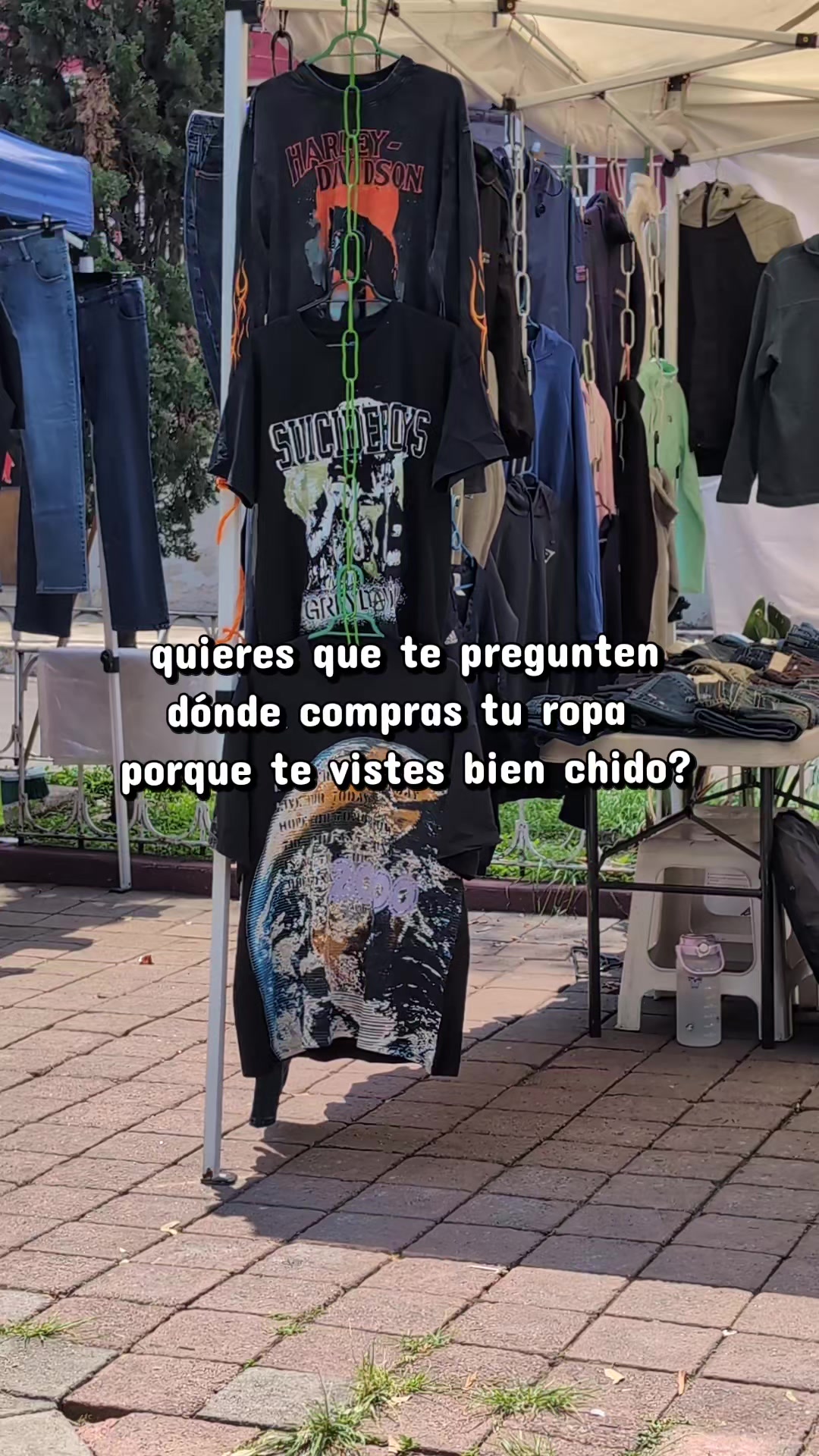 @manitadgmx