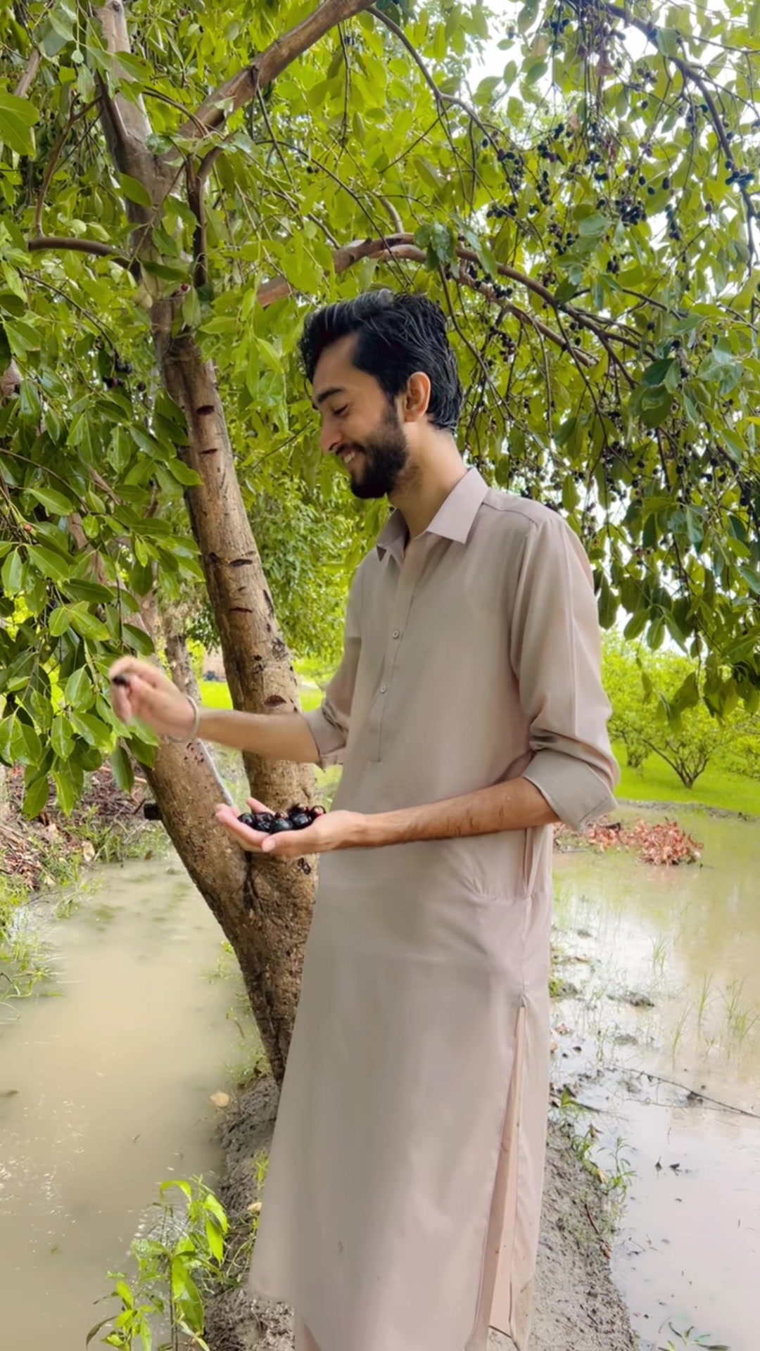@سید قلبِ عباس شاہ شیرازی