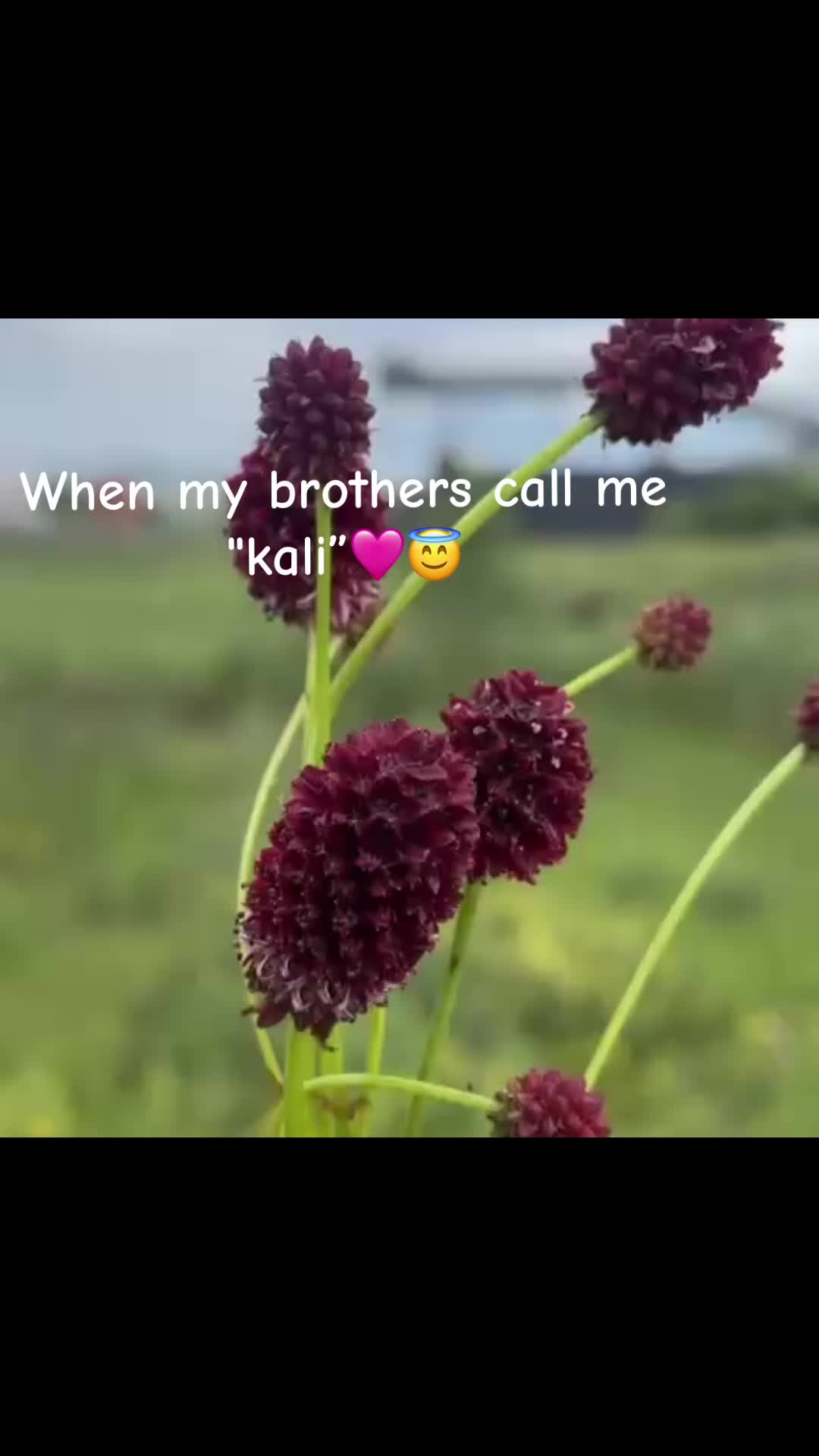 @Kali🎀