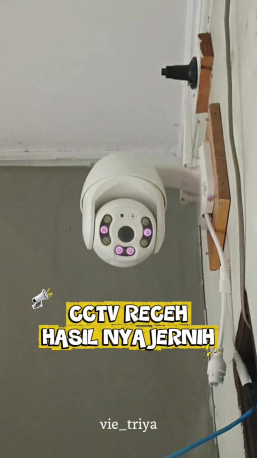 @vie_triya
