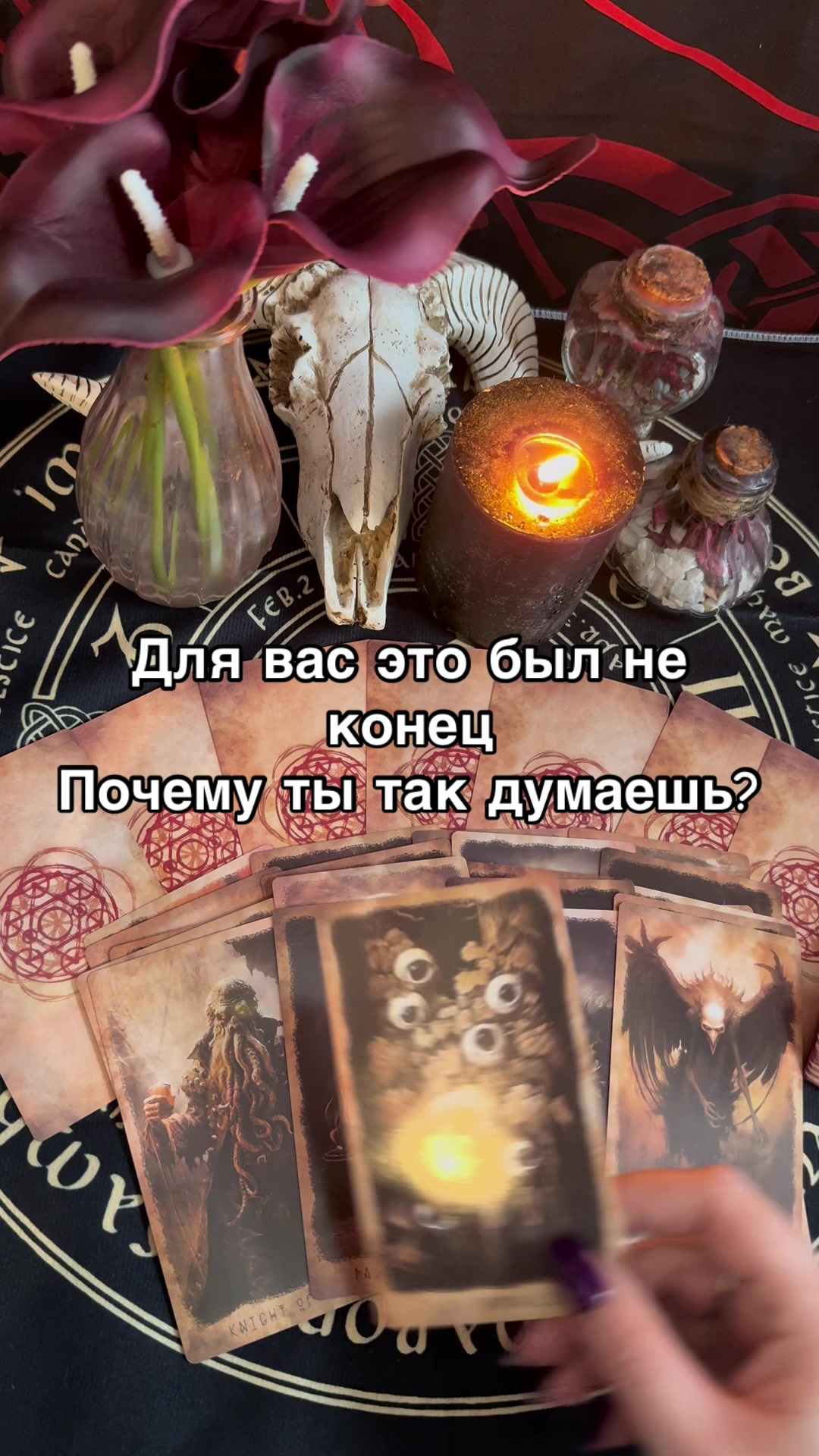 @Oksi_fox