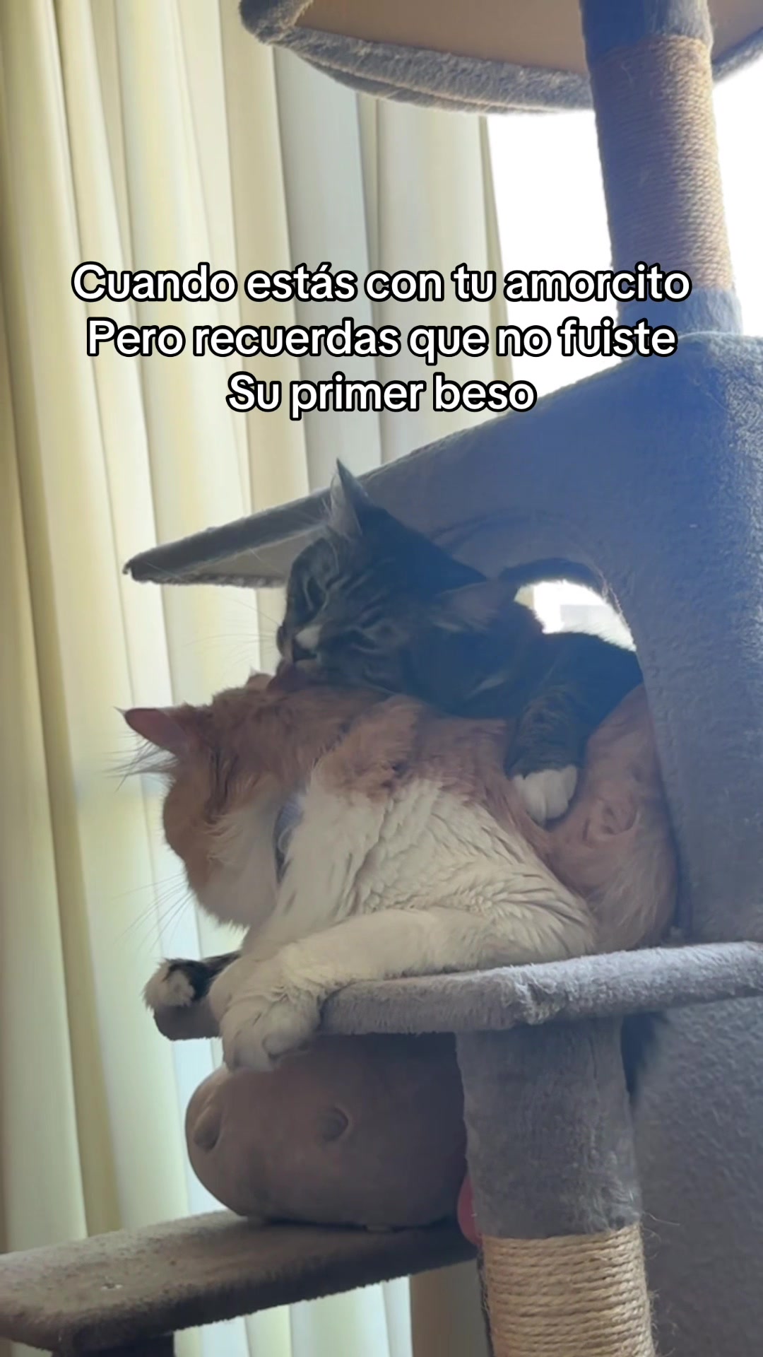 @La Inge te lo explica