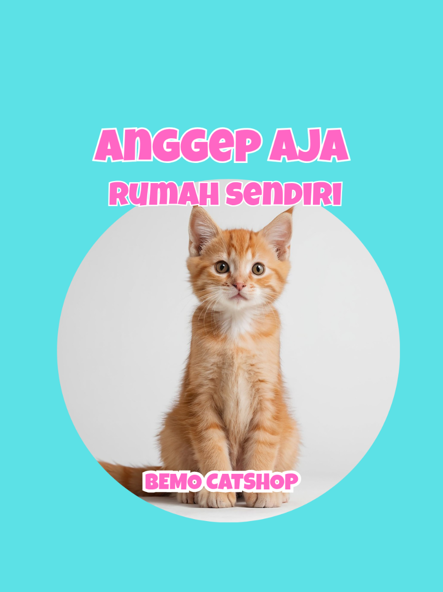 @Bemo Catshop