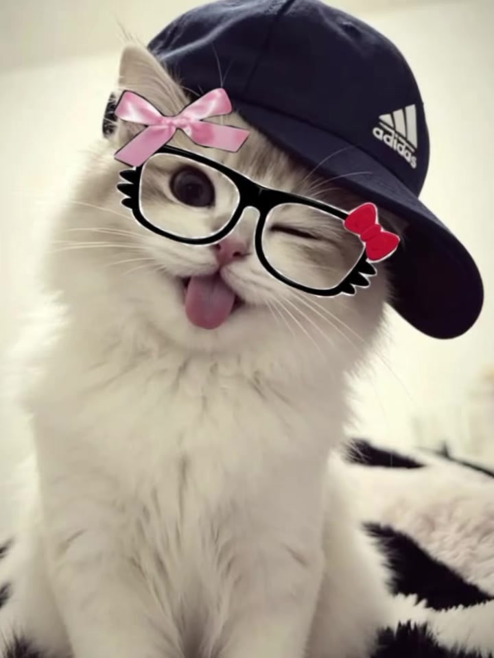 @JuNu_UcHiHa👀🌷🧣