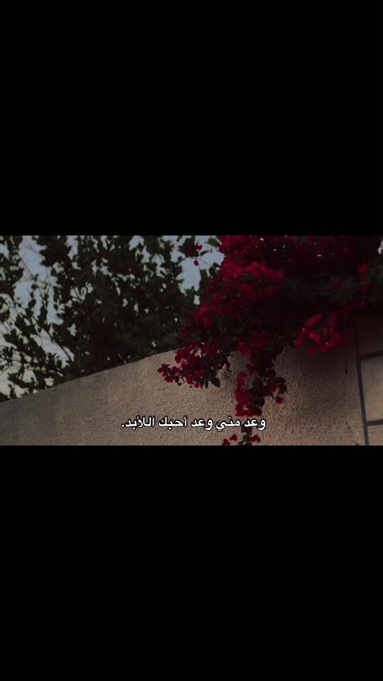 @انــــــسٓ&lsquo;&bull;&hearts;️𓏺𓏺𝒩