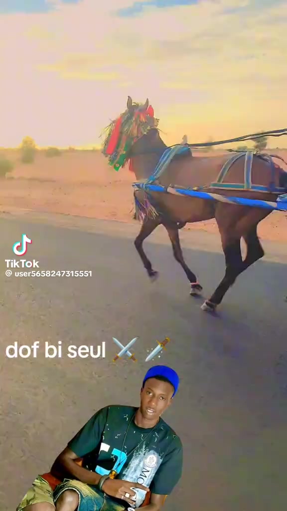 @yorokkk