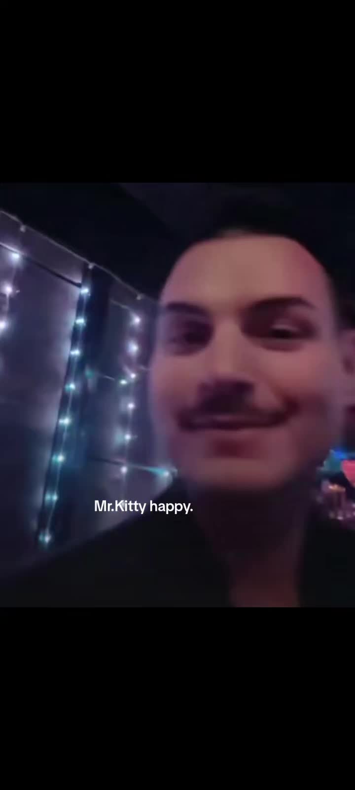 @Daily Mr.Kitty