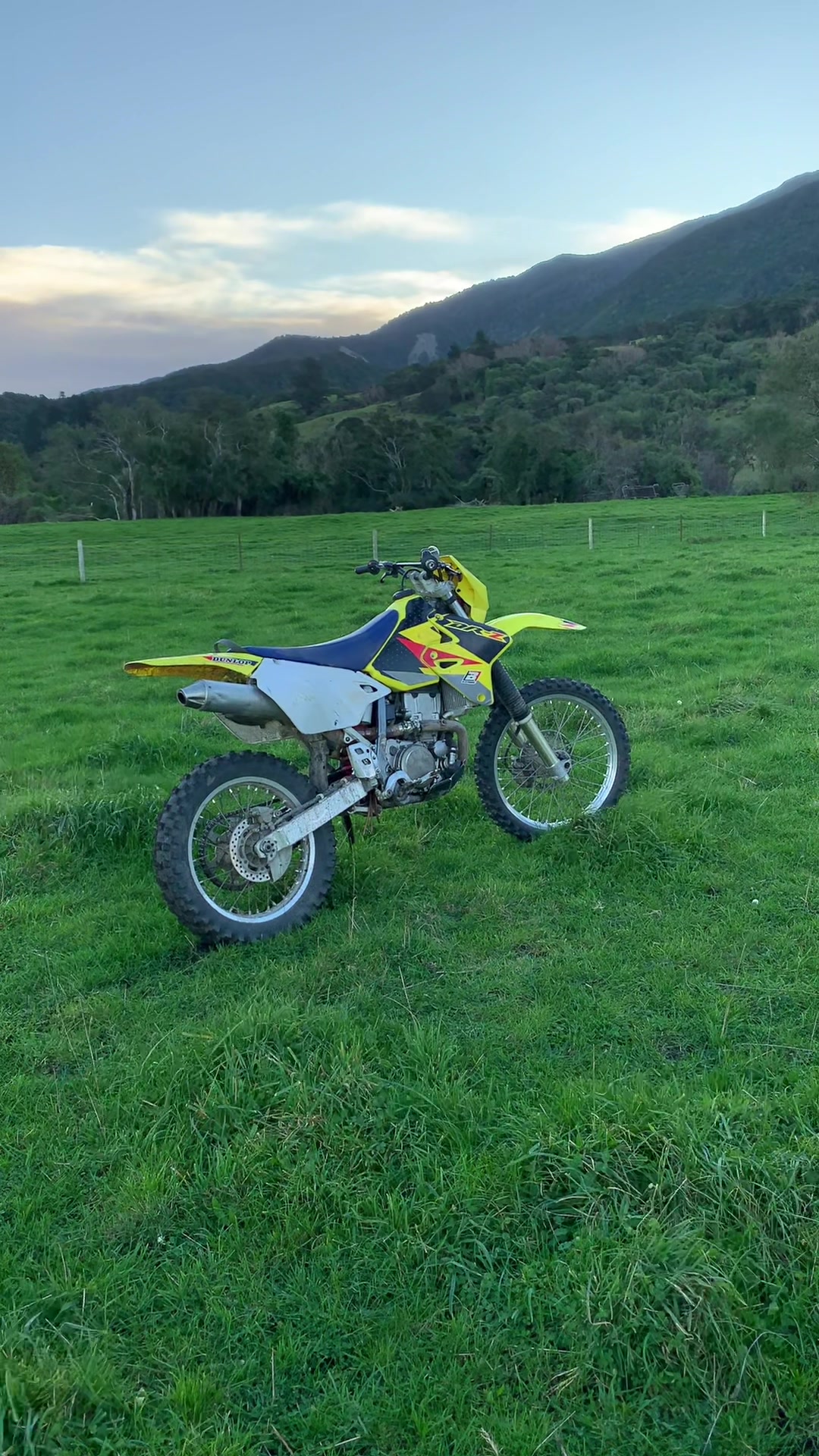 @DRZ Toby🫠
