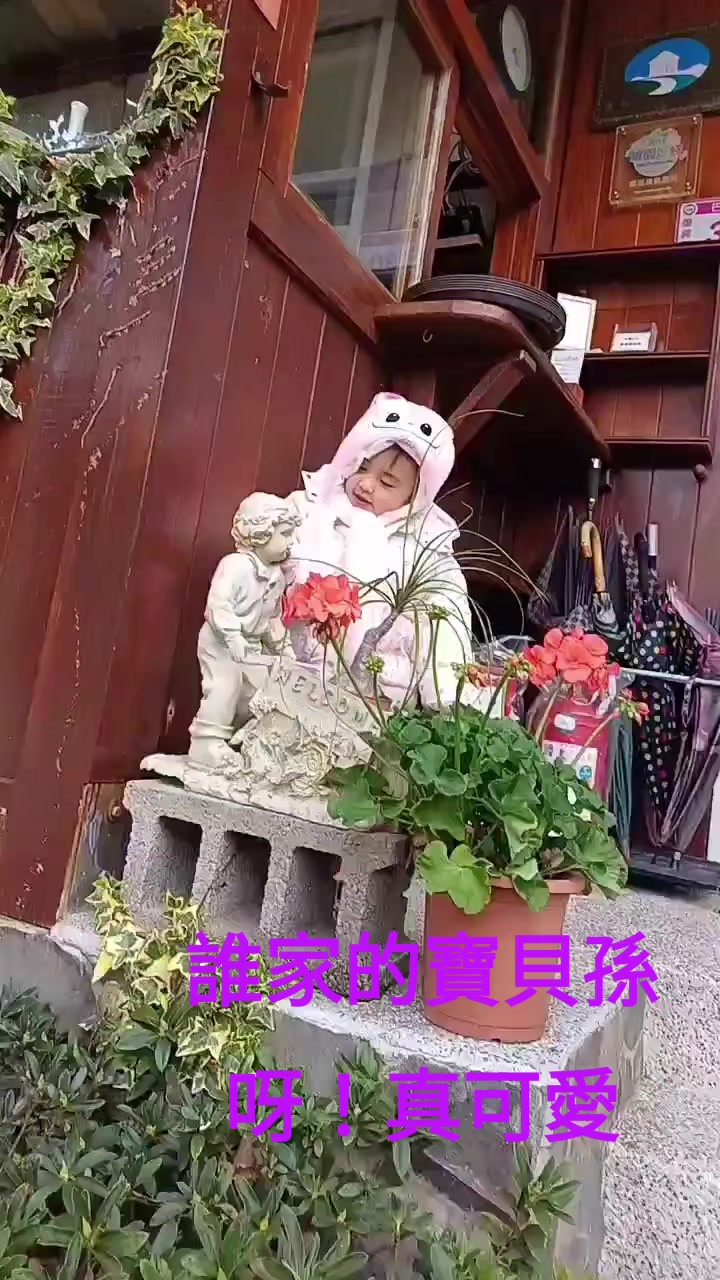 @四寶阿嬤