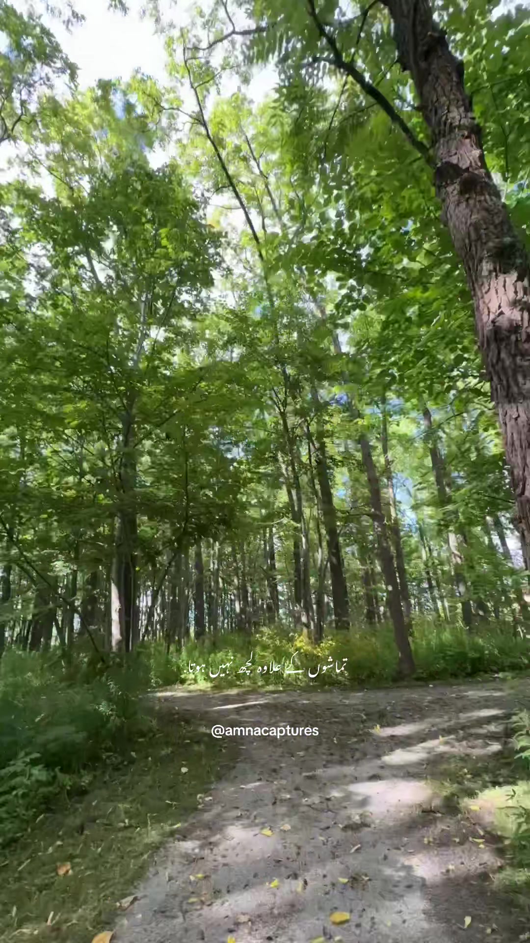 @Nature lover  🇨🇦