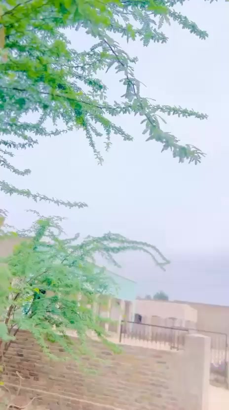 @Abdur Rehman Kamali Tiwana👑
