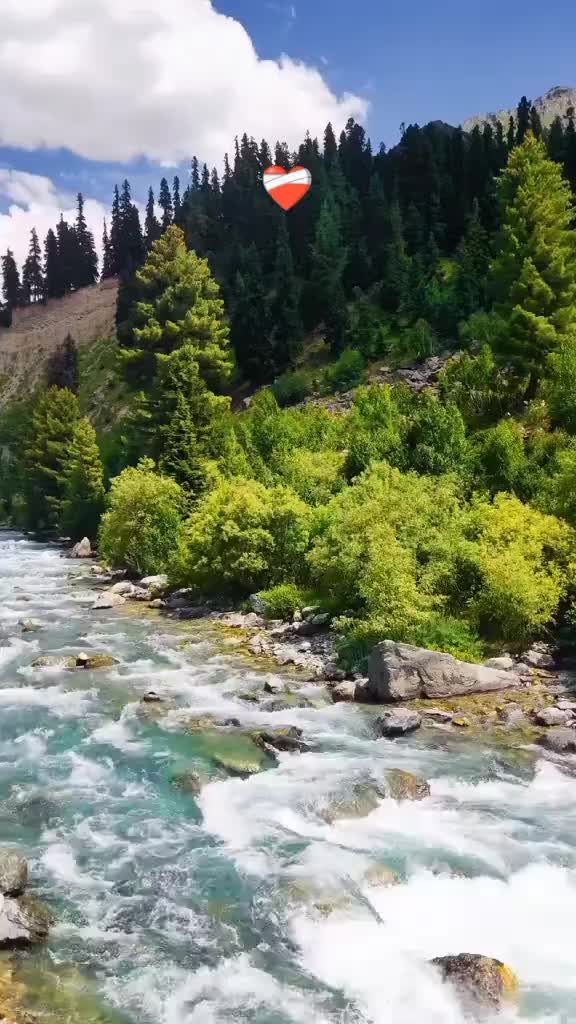 @شعیب عالم  ڈی کے